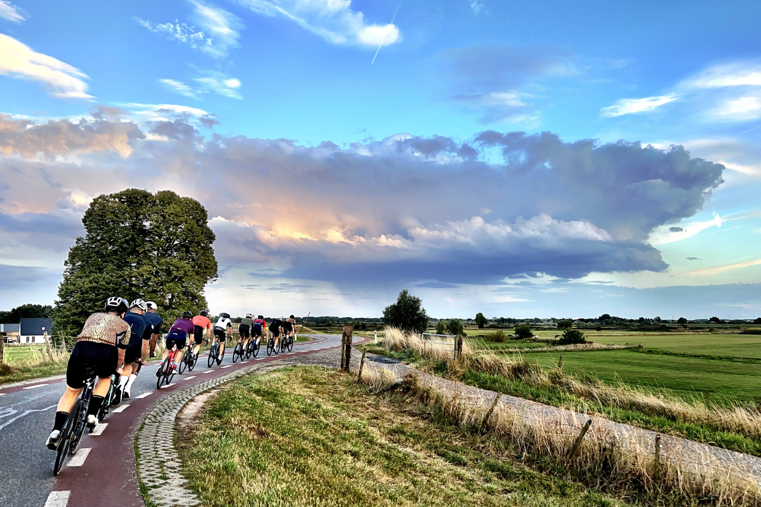 DFM – SMMR STRT 2026