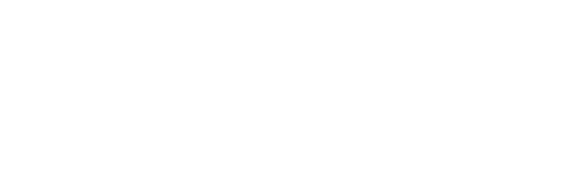DFM logo